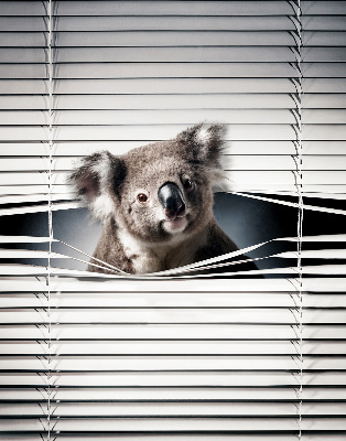 Tenda a rullo per finestra modello Koala
