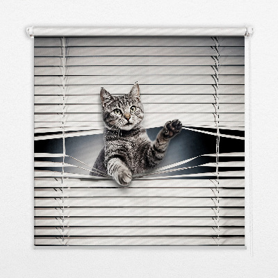 Tenda a rullo da interno con fantasia a gatto