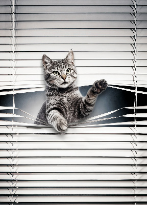 Tenda a rullo da interno con fantasia a gatto