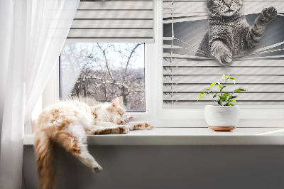 Tenda a rullo da interno con fantasia a gatto