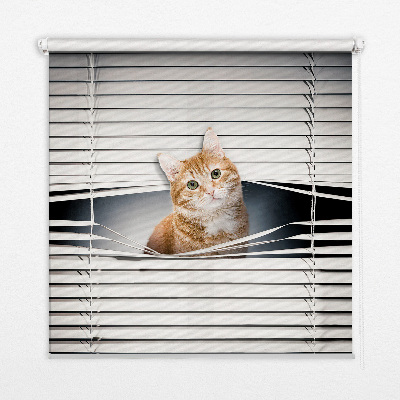 Tenda a rullo per porta finestra con fantasia a gatto rosso
