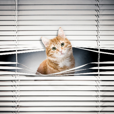 Tenda a rullo per porta finestra con fantasia a gatto rosso