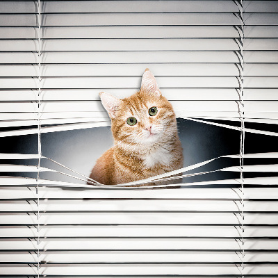 Tenda a rullo per porta finestra con fantasia a gatto rosso