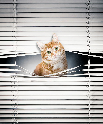 Tenda a rullo per porta finestra con fantasia a gatto rosso