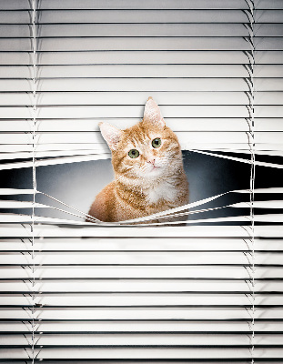 Tenda a rullo per porta finestra con fantasia a gatto rosso