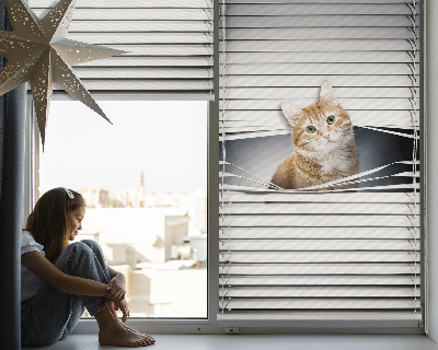 Tenda a rullo per porta finestra con fantasia a gatto rosso