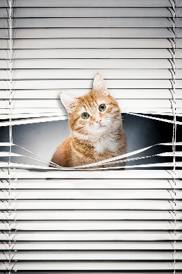 Tenda a rullo per porta finestra con fantasia a gatto rosso