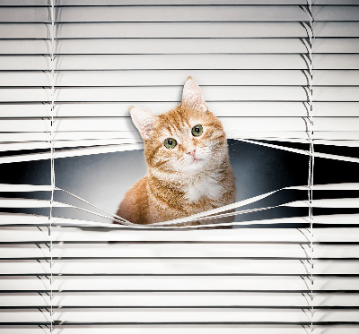 Tenda a rullo per porta finestra con fantasia a gatto rosso