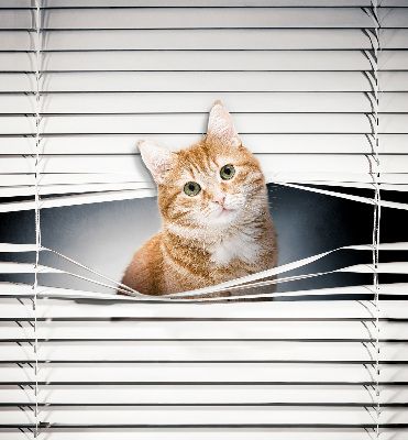 Tenda a rullo per porta finestra con fantasia a gatto rosso