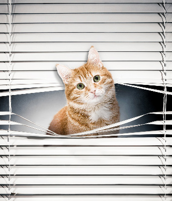 Tenda a rullo per porta finestra con fantasia a gatto rosso
