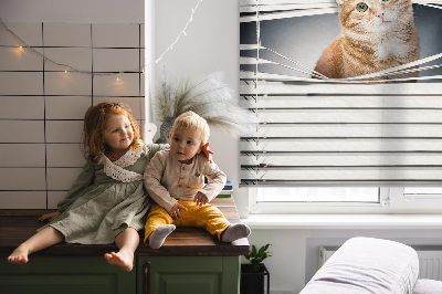 Tenda a rullo per porta finestra con fantasia a gatto rosso