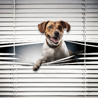Tenda a rullo in tessuto con stampa a tema cane