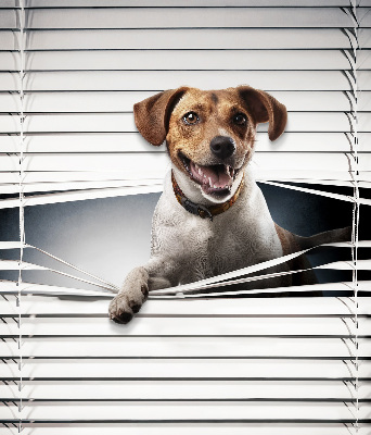 Tenda a rullo in tessuto con stampa a tema cane