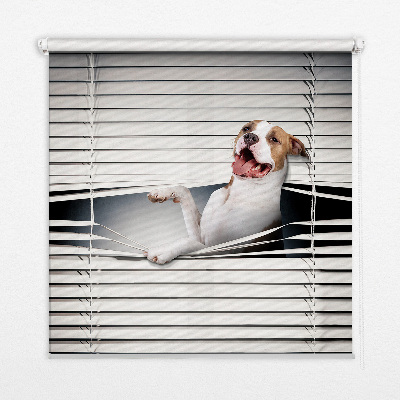 Tenda a rullo per finestra con stampa a motivo di cane