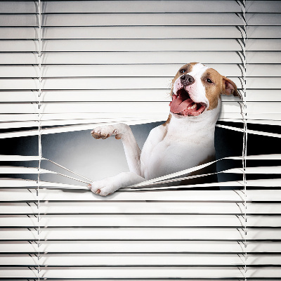 Tenda a rullo per finestra con stampa a motivo di cane