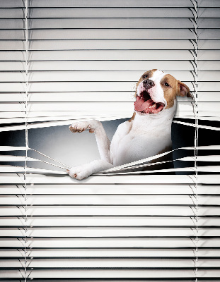 Tenda a rullo per finestra con stampa a motivo di cane