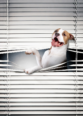 Tenda a rullo per finestra con stampa a motivo di cane