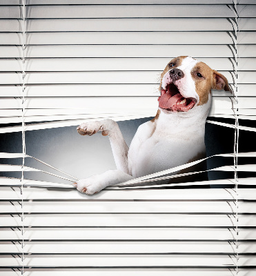 Tenda a rullo per finestra con stampa a motivo di cane