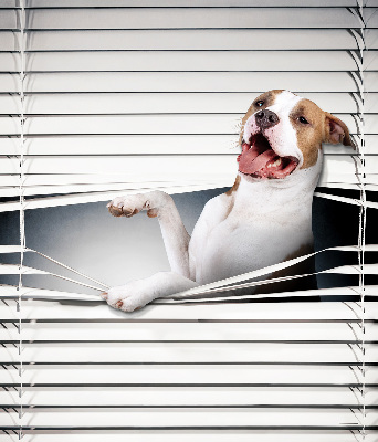 Tenda a rullo per finestra con stampa a motivo di cane