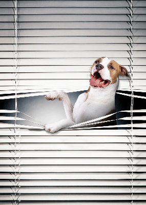 Tenda a rullo per finestra con stampa a motivo di cane