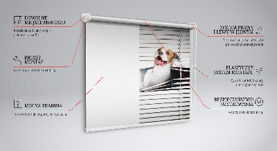 Tenda a rullo per finestra con stampa a motivo di cane
