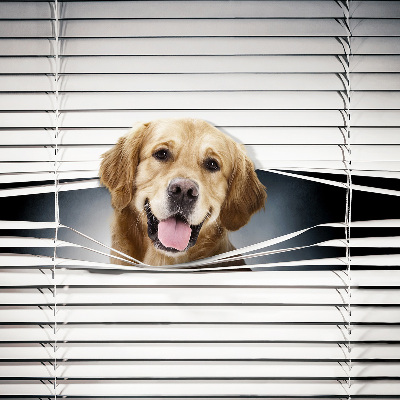 Tenda a rullo da interno modello cane d’oro