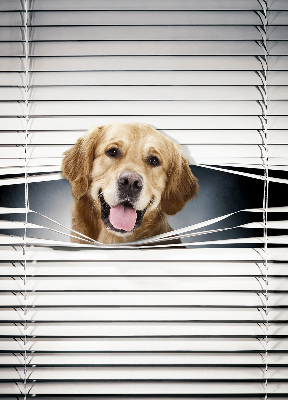 Tenda a rullo da interno modello cane d’oro