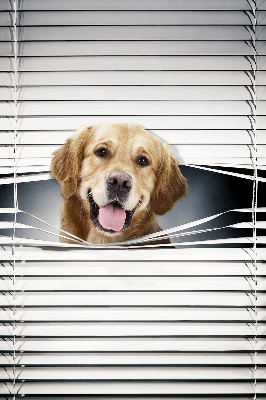 Tenda a rullo da interno modello cane d’oro