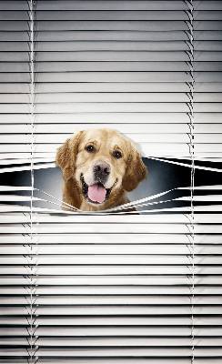 Tenda a rullo da interno modello cane d’oro