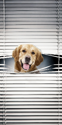 Tenda a rullo da interno modello cane d’oro