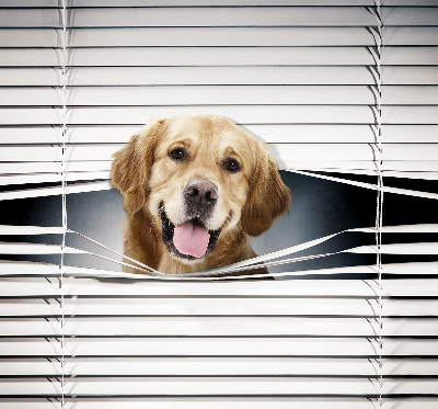 Tenda a rullo da interno modello cane d’oro
