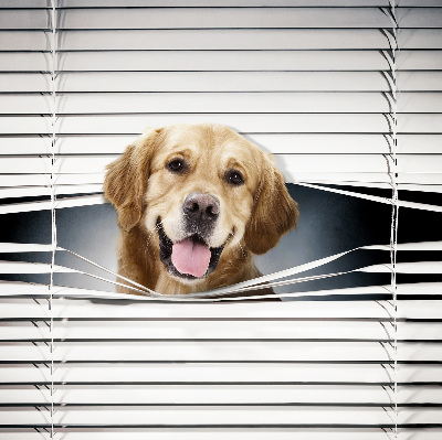Tenda a rullo da interno modello cane d’oro