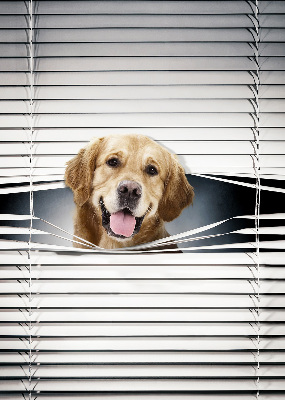 Tenda a rullo da interno modello cane d’oro
