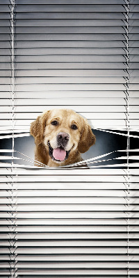 Tenda a rullo da interno modello cane d’oro