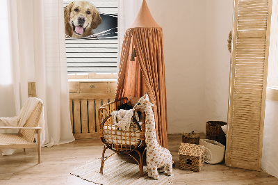 Tenda a rullo da interno modello cane d’oro