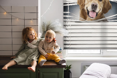Tenda a rullo da interno modello cane d’oro