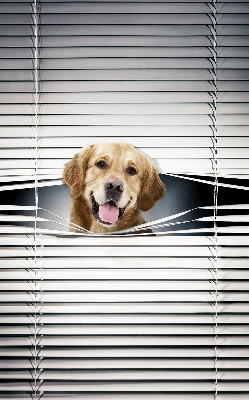 Tenda a rullo da interno modello cane d’oro