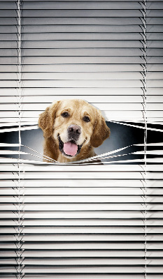 Tenda a rullo da interno modello cane d’oro