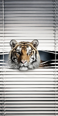 Tenda a rullo modello Tigre per porta finestra