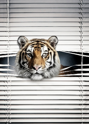 Tenda a rullo modello Tigre per porta finestra