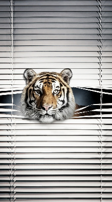 Tenda a rullo modello Tigre per porta finestra