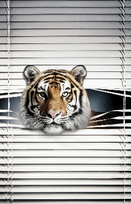 Tenda a rullo modello Tigre per porta finestra