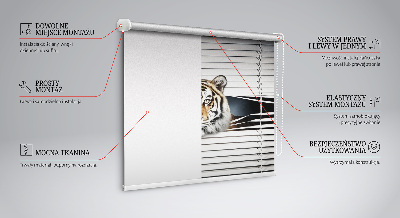 Tenda a rullo modello Tigre per porta finestra