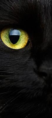 Tenda a rullo oscurante per interni modello occhi di gatto