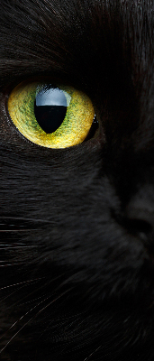 Tenda a rullo oscurante per interni modello occhi di gatto