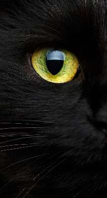 Tenda a rullo oscurante per interni modello occhi di gatto