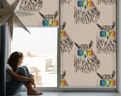 Tenda a rullo oscurante per porta finestra con fantasia di gufi con occhiali colorati