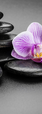 Tenda a rullo interna oscurante con stampa di orchidee su pietre