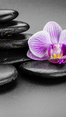 Tenda a rullo interna oscurante con stampa di orchidee su pietre