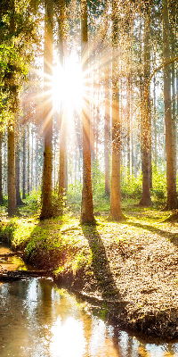 Tenda a rullo interna oscurante con stampa del sole che splende tra gli alberi